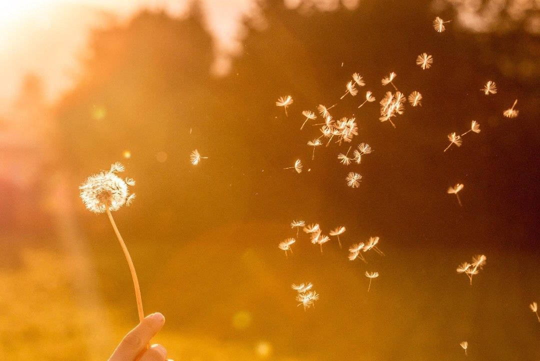 Read more about the article Magia odpuszczenia