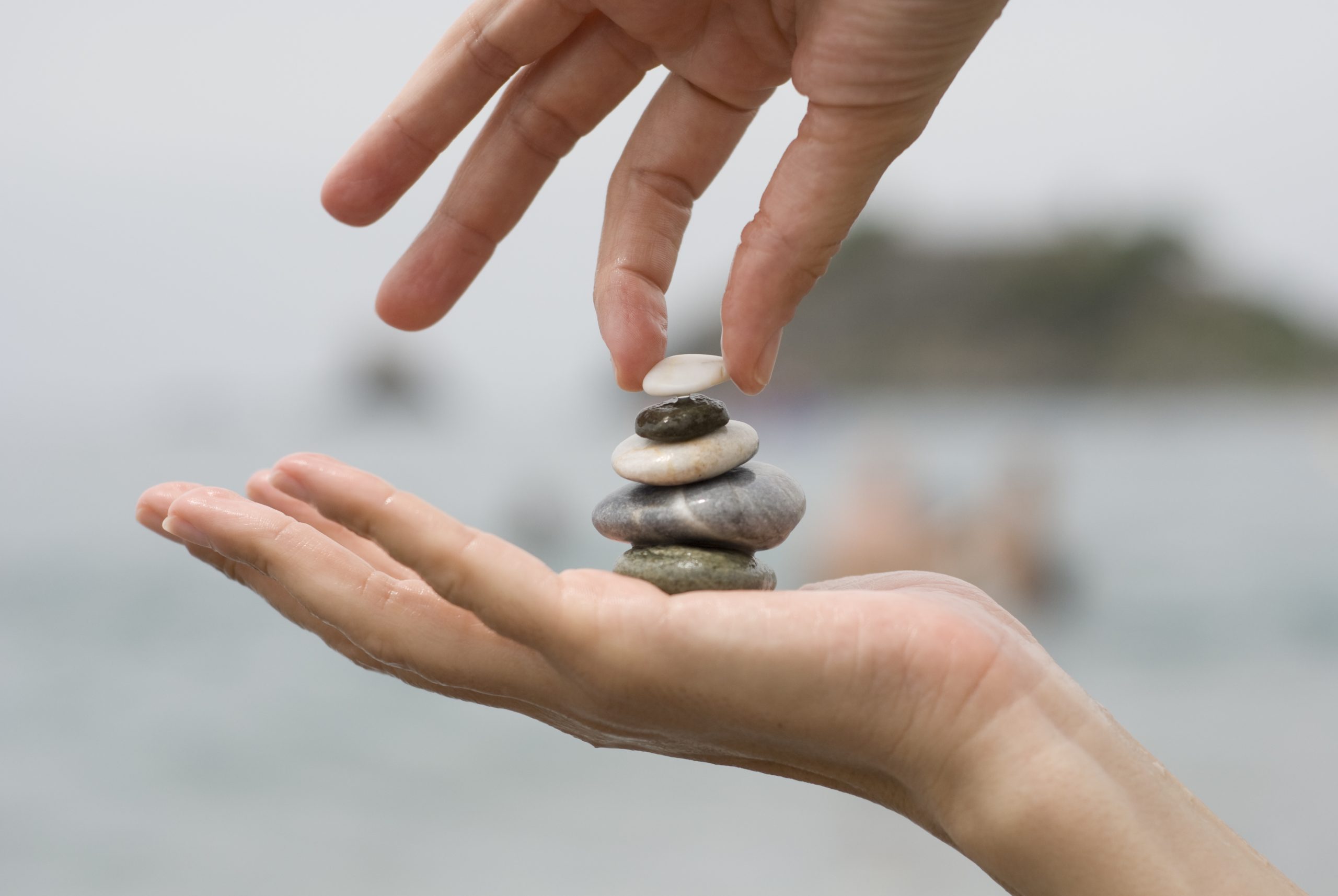 Read more about the article Lorem ipsum