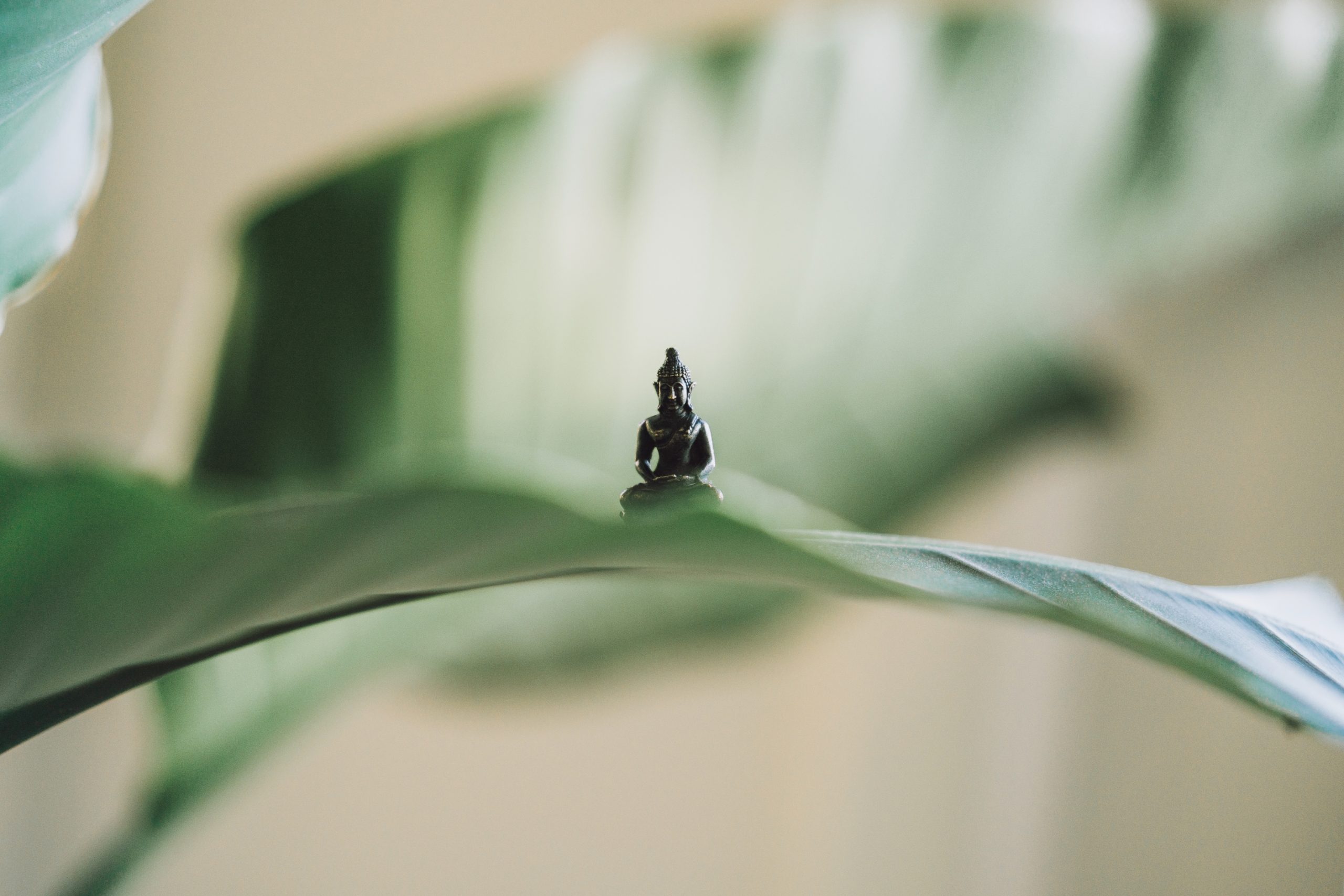 Read more about the article Lorem ipsum