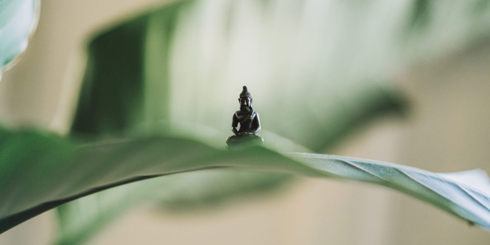 Very small Buddha statue set on a large plant leaf with other leafs in the background